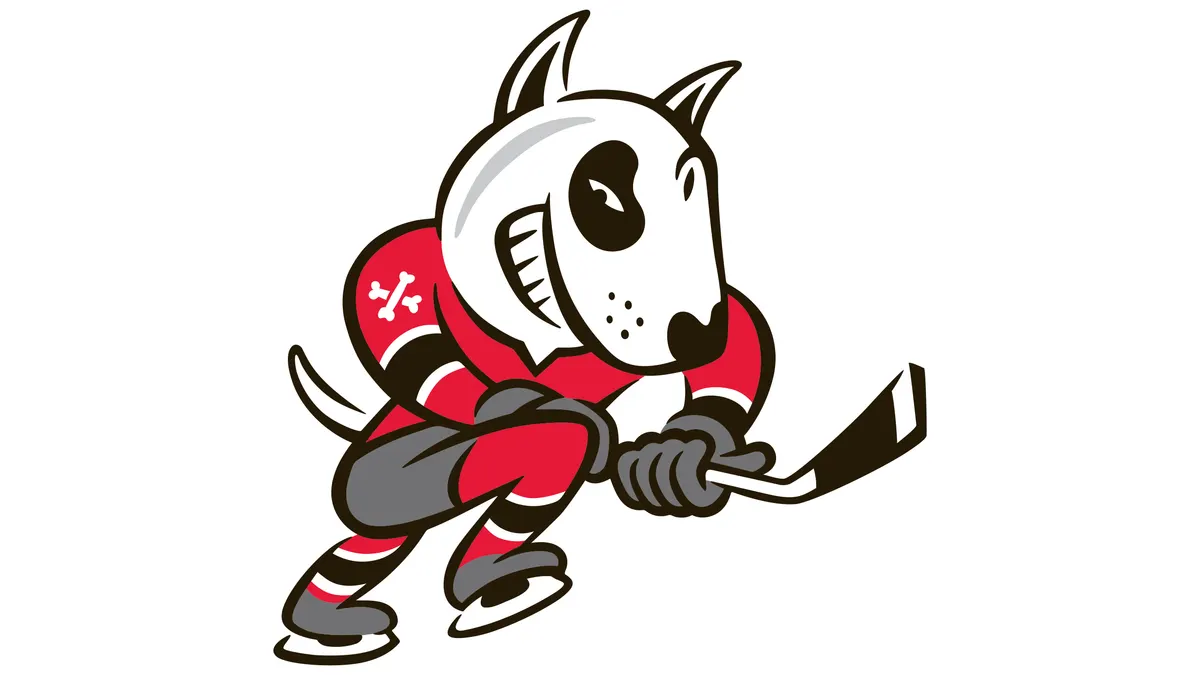 Niagara IceDogs vs. Sault Ste. Marie Greyhounds