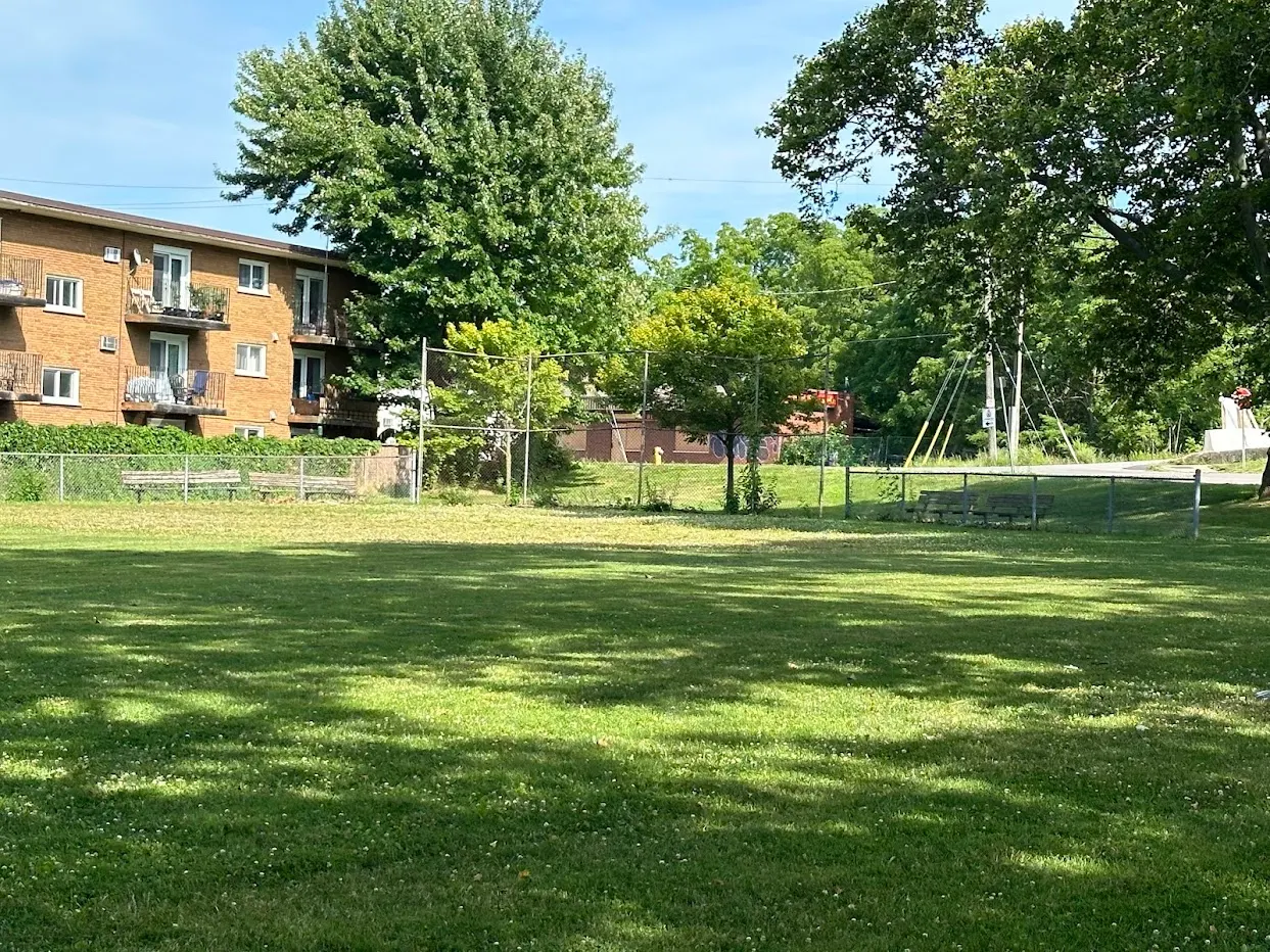 Ground-level view of Cameron Park