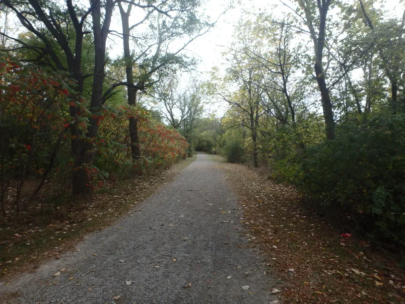 Ground-level view of Canal Valley
