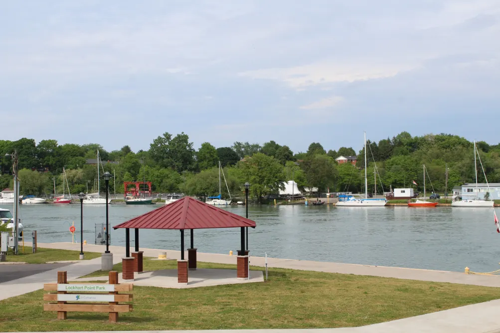 Ground-level view of Lockhart Point