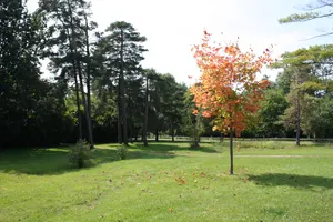 Ground-level view of Malcolmson EcoPark